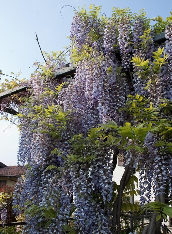Bed and Breakfast Angelo Del Lotto Ponteranica Exteriér fotografie